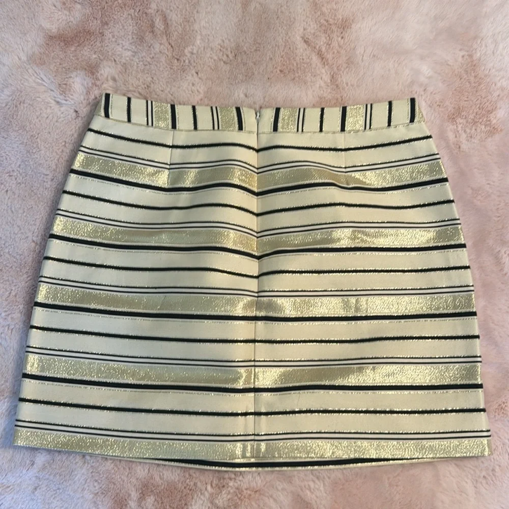 J. Crew Skirt